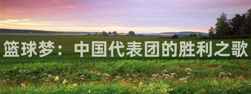 世界杯2026赛程表:篮球梦:中国代表团的胜利之歌