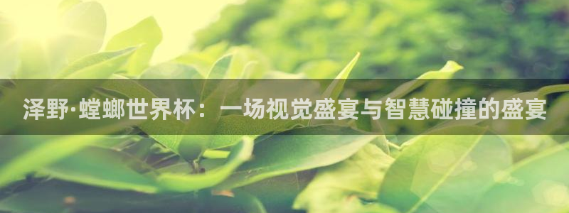 2026世界杯亚洲区预选赛:泽野·螳螂世界杯:一场视觉盛宴与智慧碰撞的盛宴