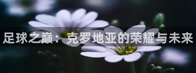 足球世界杯时间:足球之巅:克罗地亚的荣耀与未来