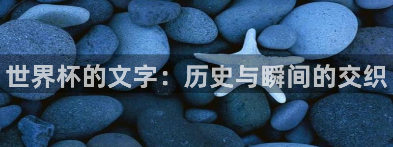 世界杯决赛圈球队:世界杯的文字:历史与瞬间的交织
