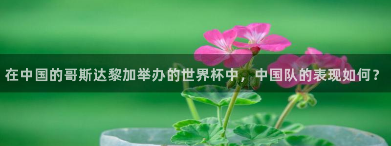 足球世界杯:在中国的哥斯达黎加举办的世界杯中,中国队的表现如何?