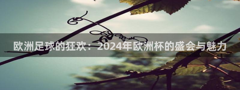 世界杯欧洲区世预赛赛程:欧洲足球的狂欢:2024年欧洲杯的盛会与魅力